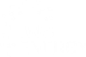 IWS_Logo